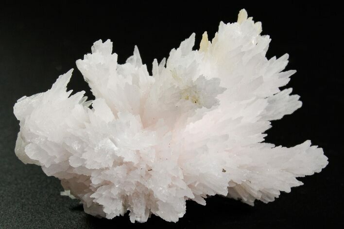 Pink Manganoan Calcite Crystal Cluster - Fluorescent! #361517